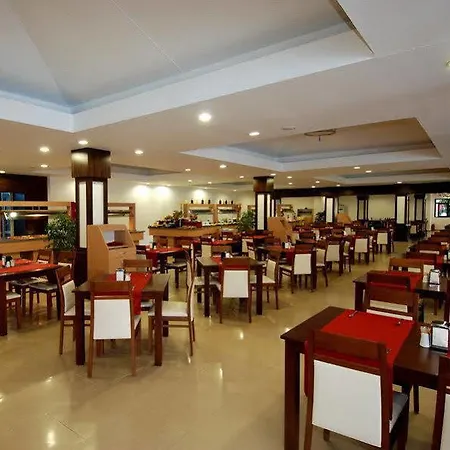 Maya Golf (adults Only) 3* シダ