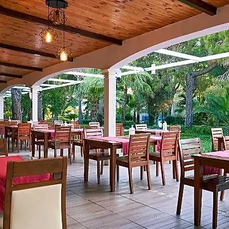Maya Golf (adults Only)