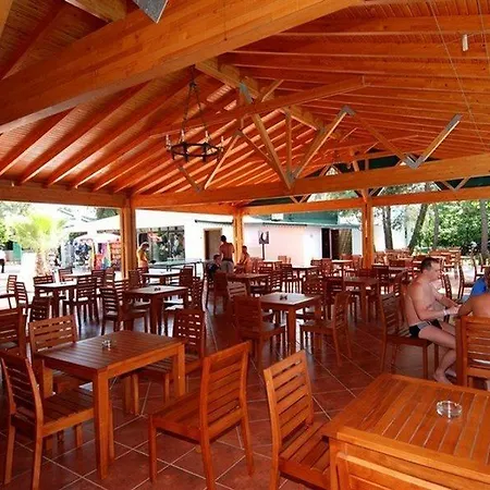 Maya Golf (adults Only)