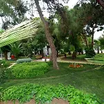 Maya Golf (adults Only)